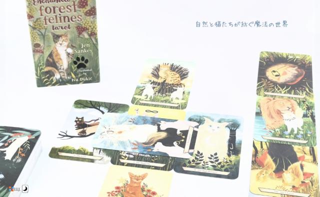 エンチャンテッド・フォレスト・フィーライン・タロット ENCHANTED FOREST FELINES TAROT