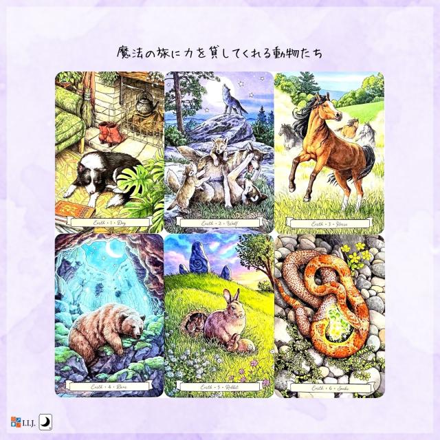 エブリデイ・ウィッチ・ファミリア・オラクル カード図版