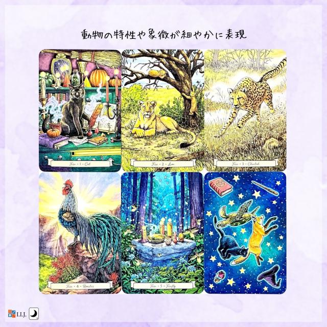 エブリデイ・ウィッチ・ファミリア・オラクル カード図版