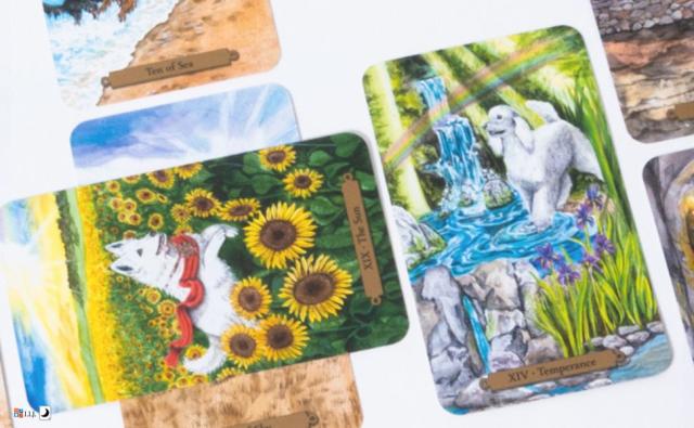 マジカル ドック タロット Magical Dogs Tarotのカードイメージ