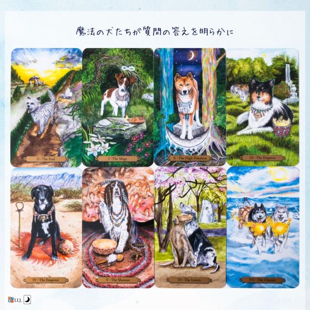 マジカル ドック タロット Magical Dogs Tarot カード図版