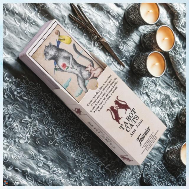 タロット キャッツ Tarot Cats カード図版