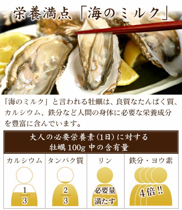 北海道厚岸産 生牡蠣 約2kg 北海道産 カキ かき 刺身 貝 札幌