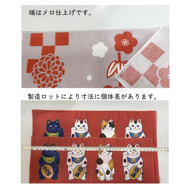 説明