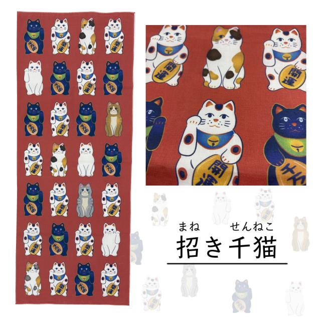 招き千猫