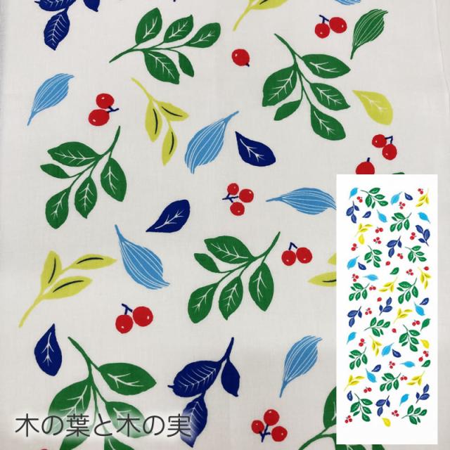 木の葉と木の実