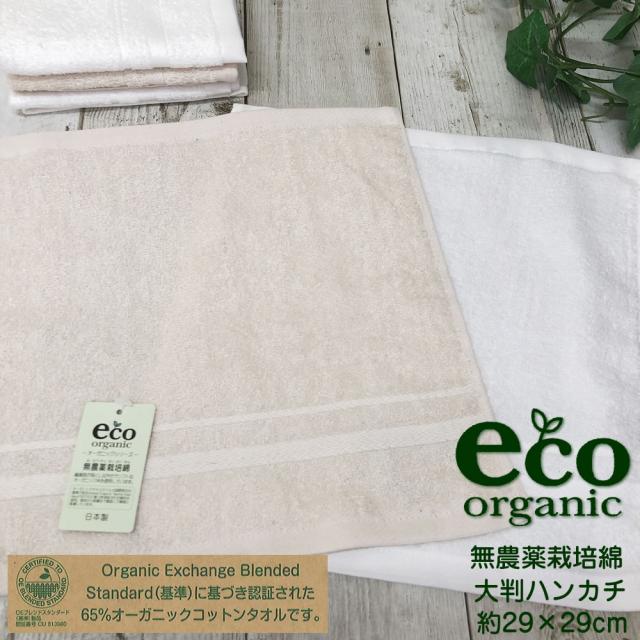 泉州タオル　エコオーガニック　ハンカチタオル