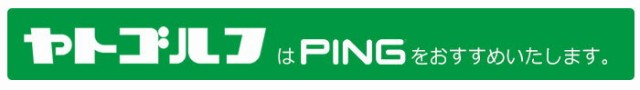 バウンス⋇ PING スチールシャフト の通販はau PAY マーケット - ヤトゴルフ|商品ロットナンバー:493814670 BLUEPRINT 単品アイアン N.S.PRO 950GH neo について