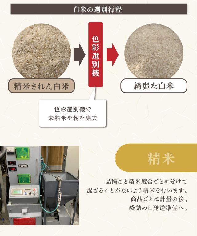 美味しいお米の秘訣 白米