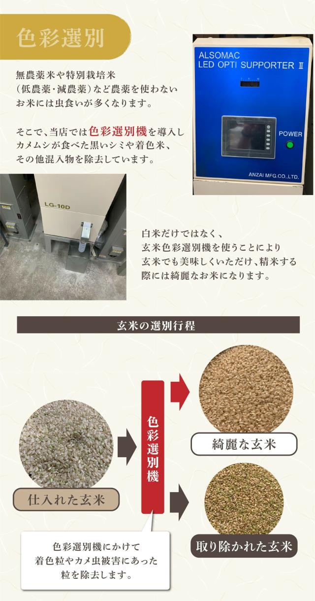 美味しいお米の秘訣 玄米