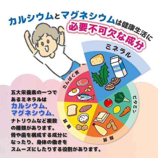 カルシウムとマグネシウムは健康生活に必要不可欠な成分/骨や歯を構成する成