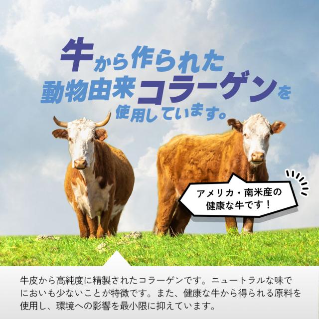 ホットでもアイスでもその日の気分で好きな飲み方/顆粒タイプでさらさら細かい