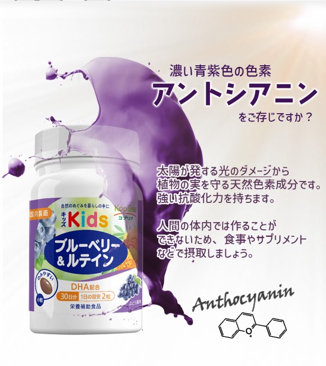 濃い青紫色の色素 アントシアニン