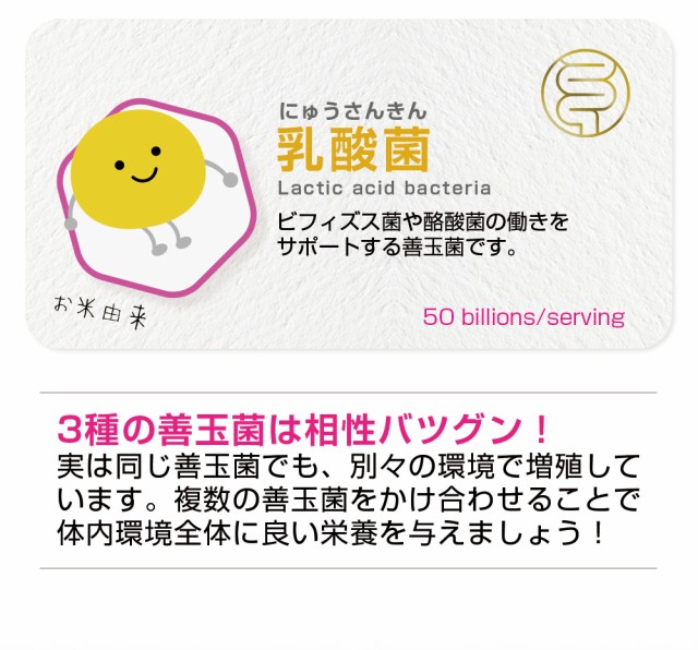 腸内フローラメンバーズ/生きて届く/酪酸菌/酪酸/ビフィズス菌/酢酸/乳酸菌/お米由来/善玉菌