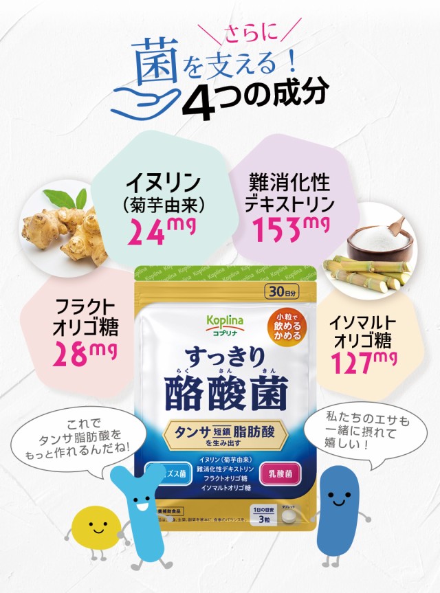 菌を支える/4つの成分/イヌリン/難消化性デキストリン/フラクトオリゴ糖/イソマルトオリゴ糖