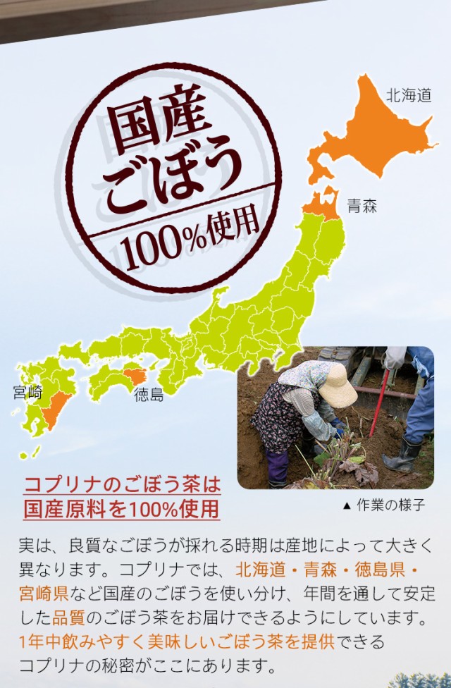 国産ごぼう100%使用 安定な品質 飲みやすく美味しい ごぼう畑