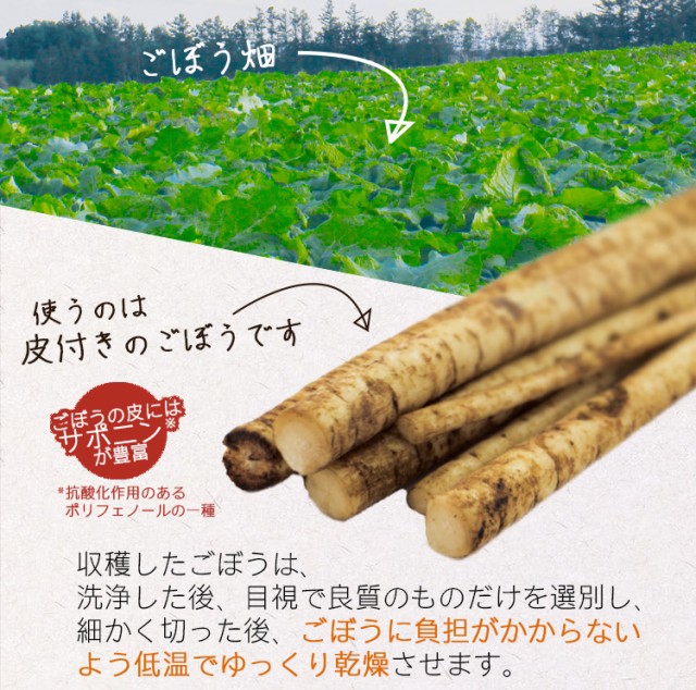 皮付きごぼう サポニン 抗酸化作用 低温乾燥 直火焙煎 香ばしい