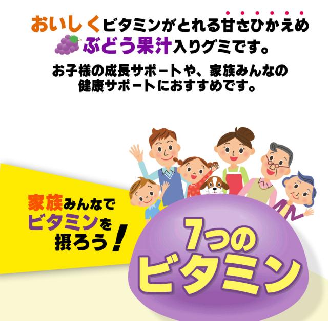 グミサプリ ビタミン 60粒 1個20日分
【グミ/ぶどう果汁入り/おいしい/マルチビタミン/家族/子ども/健康/サプリ/サプリメント/栄養補助食品/安心国内製造/コプリナ】