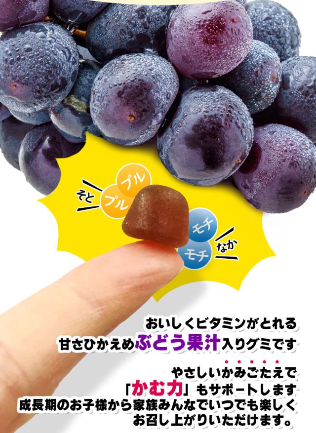 グミサプリ ビタミン 60粒 1個20日分
【グミ/ぶどう果汁入り/おいしい/マルチビタミン/家族/子ども/健康/サプリ/サプリメント/栄養補助食品/安心国内製造/コプリナ】