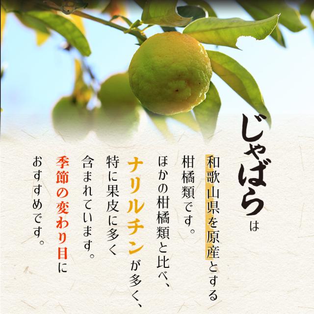 じゃばらナリルチン和歌山県原産季節の変わり目 花粉 対策 ズムズム かゆみ 効く