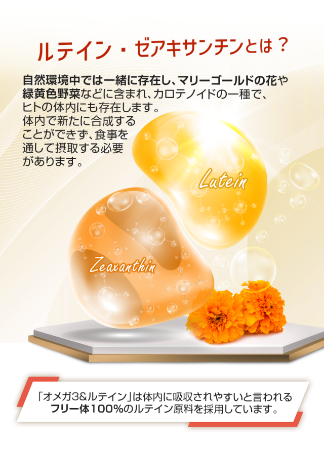 マリーゴールド/緑黄色野菜/カロテノイド/フリー体ルテイン