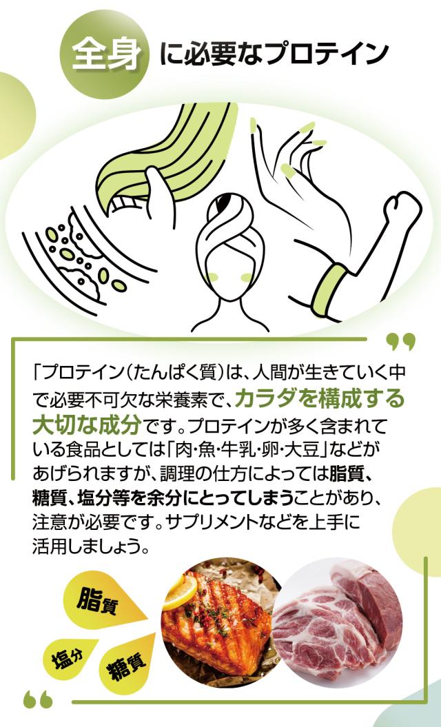 全身に必要なプロテイン/カラダ構成/大切な成分