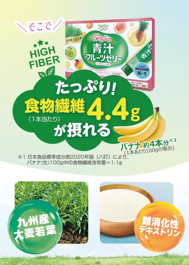 鉄 食物繊維 乳酸菌 気分も体もすっきり