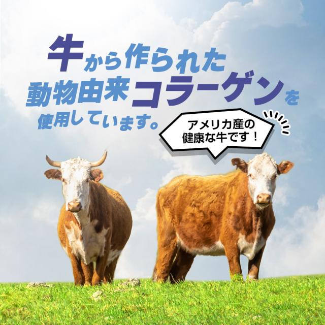 ホットでも/アイスでも/飲み物/料理/おいしさそのまま/匂いが少ない