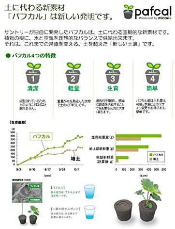 21春夏新色 ミドリエデザイン 土を使わない 壁掛け 観葉植物 Frame ポイント10倍 保障できる Www Centrodeladultomayor Com Uy