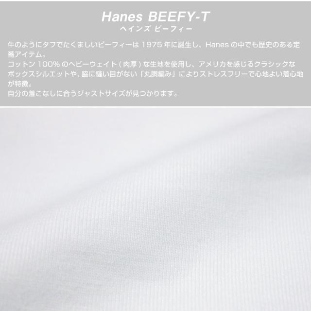 ヘインズ Hanes BEEFY-T Tシャツ 着用 全身