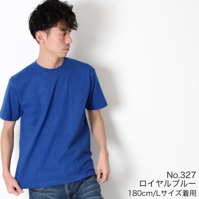 ヘインズ Hanes BEEFY-T Tシャツ 着用 ブルー