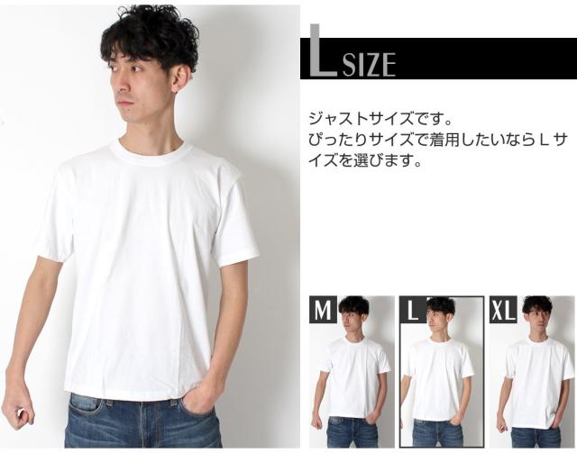 サイズ比較 Lサイズ