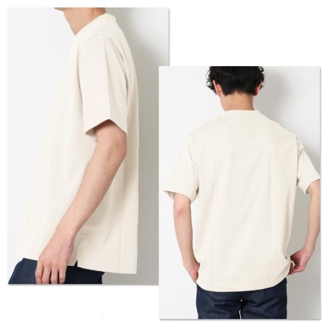 LACOSTE ラコステ 半袖 Tシャツ クルーネック 胸ロゴ ワニロゴ ブランド XFJ ベージュ サイド バック
