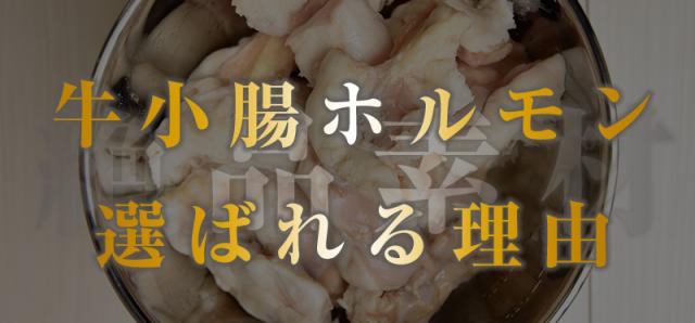 現金特価】 ホルモン 牛小腸 1kg 味付けなし 焼肉用 ショウチョウ 大 