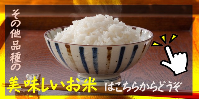 低価正規店 米 お米 見つけてラッキー 送料無料 山形県産生活応援米(当店のブレンド米より下ランク) 白米 30kg×1袋 国産 徳用 令和2年の通販はau PAY マーケット - 東北の農産特産品アグリパートナー|商 正規品新品
