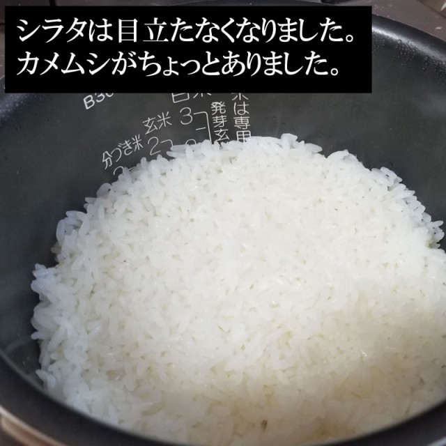 低価正規店 米 お米 見つけてラッキー 送料無料 山形県産生活応援米(当店のブレンド米より下ランク) 白米 30kg×1袋 国産 徳用 令和2年の通販はau PAY マーケット - 東北の農産特産品アグリパートナー|商 正規品新品