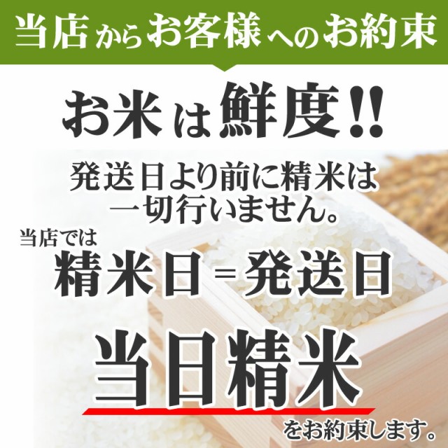 米 お米 30kg （5kg袋×6) あきたこまち 玄米 令和4年度 山形県産 送料