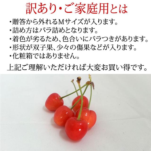 佐藤錦さくらんぼ