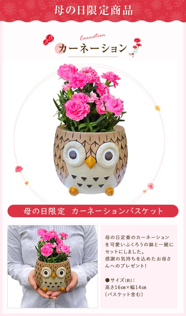 母の日