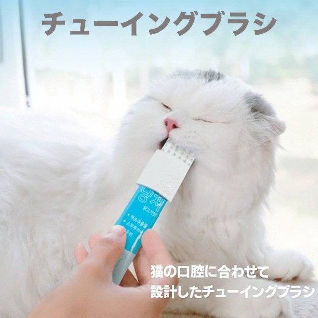 ペットベッド S 快適 睡眠 犬 猫 ベッド 洗える オールシーズン 通気性