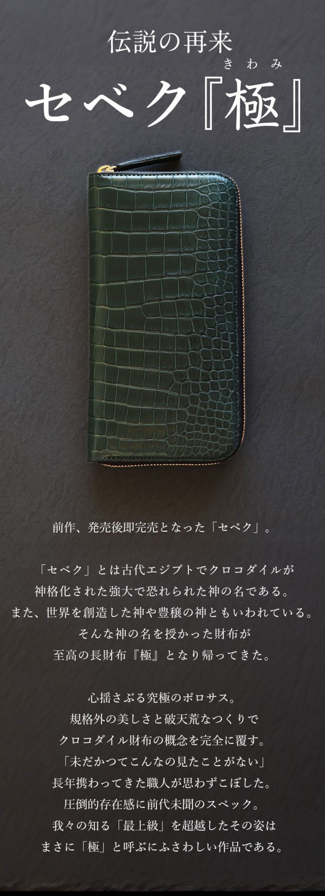 3/27発送予約商品】クロコダイル グリーン 緑 ラウンド