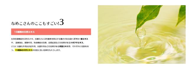 なめこさん ハンドクリーム 高保湿 手荒れ 美容師