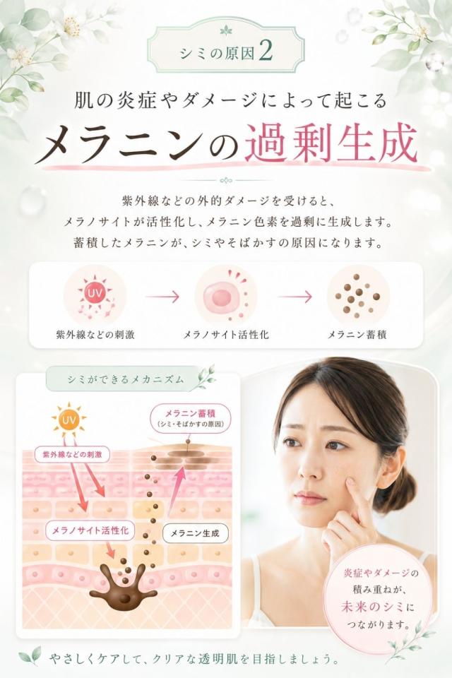 スキンベビー美白の習慣 商品説明4