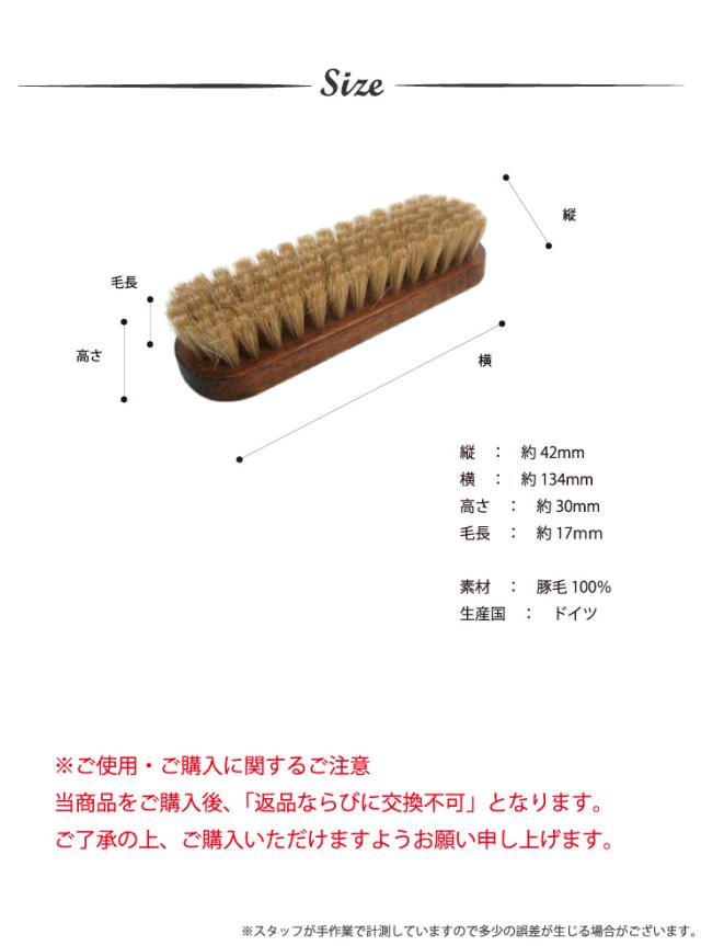 サイズ
