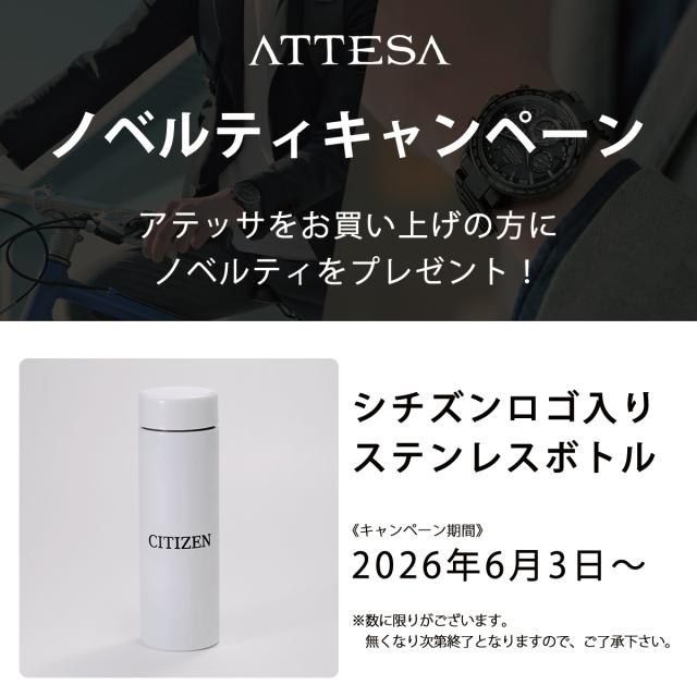 ステンレスボトル