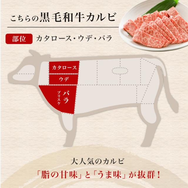 国産黒毛和牛霜降り上カルビ焼肉