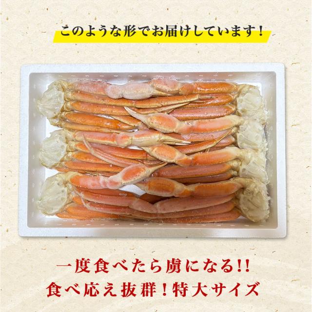 山盛り特大ボイル本ズワイ蟹脚