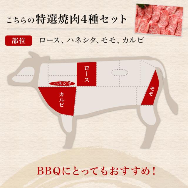 特選焼肉4種セット