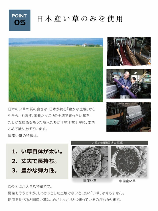 純国産 い草 ラグ デニム 正方形「 Fジョイ 」サイズ：(約)191×191cm