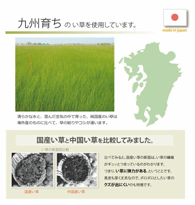 超特価低価 い草 畳 ユニット畳 置き畳 国産 「 かるピタ 」 約82×82cm 4枚組 日本製 2畳 敷物 自然素材 和 敷き物 軽量タイプ マット 床 フローリの通販はau PAY マーケット - 生活創造屋|商品ロットナンバ 定番セール